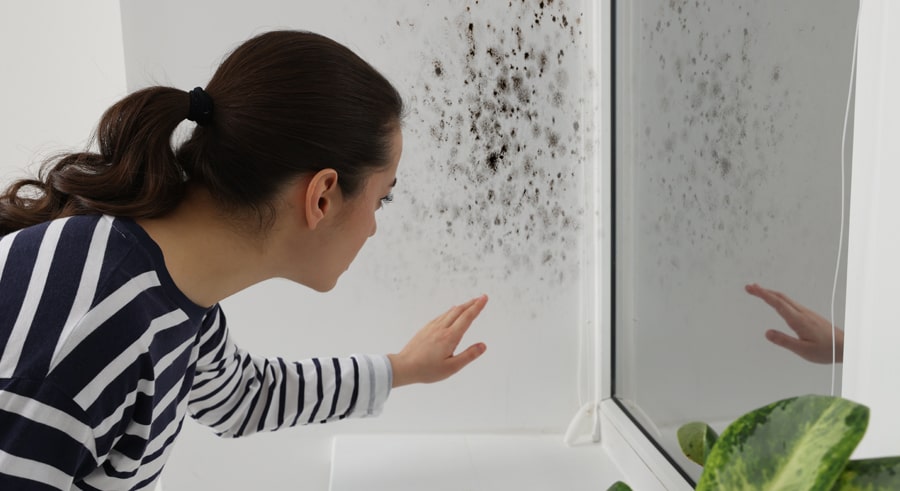 ¿Moho en la pared? Solución rápida